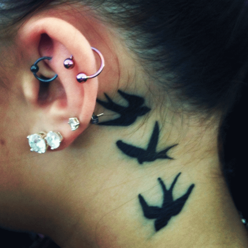 Black Three Birds Tattoo On Behind The Ear with regard to proportions 1024 X 1024