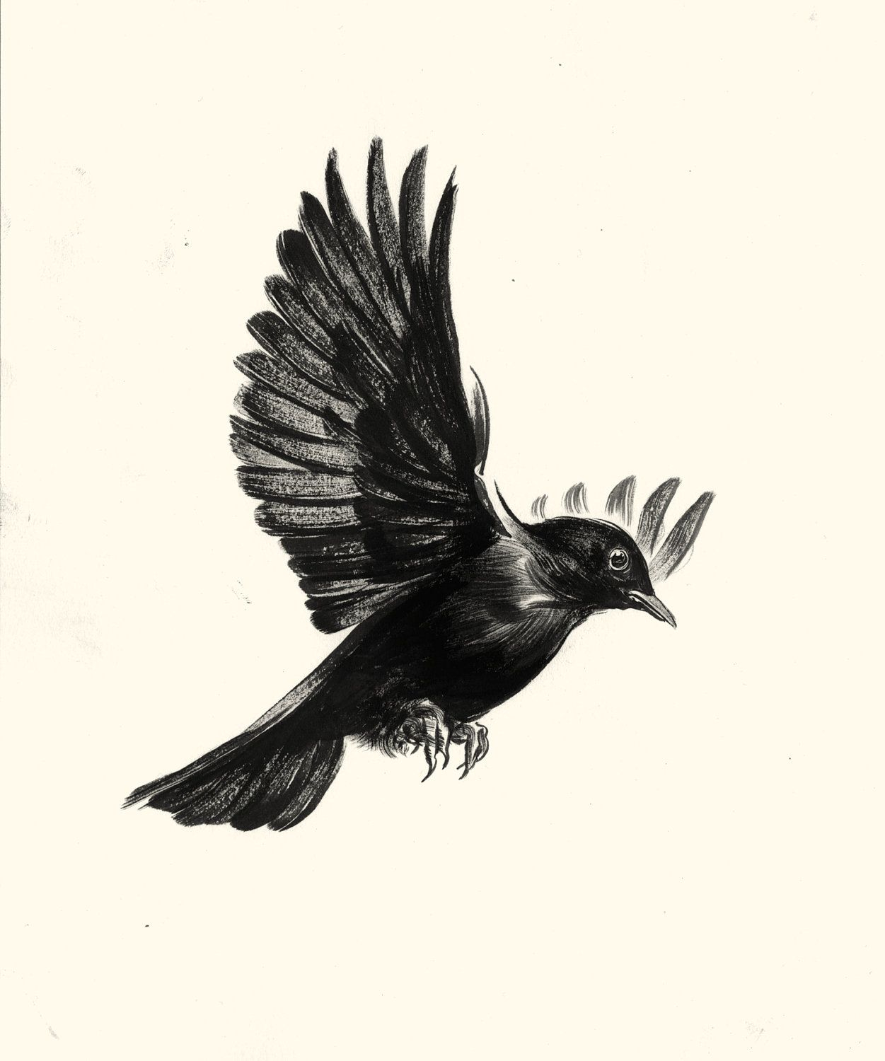 Blackbird Of Harkers Drop Bird Tattoo Black Bird Tattoo Birds with regard to proportions 1251 X 1500