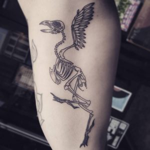 Blackwork Bird Skeleton Tattoo Alex M Krofchak Animal for measurements 1080 X 1080