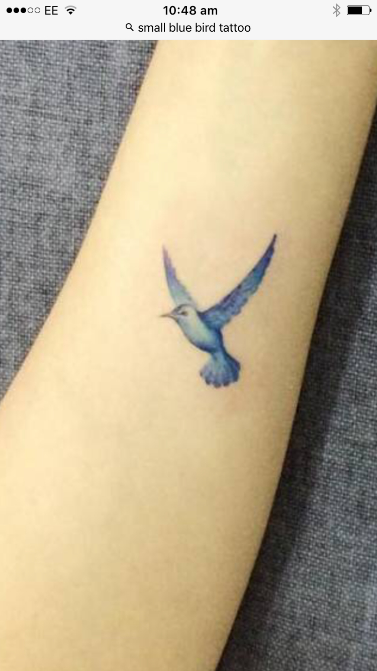 Blue Bird Tattoos Bluebird Tattoo Small Bird Tattoos Blue Jay for proportions 750 X 1334