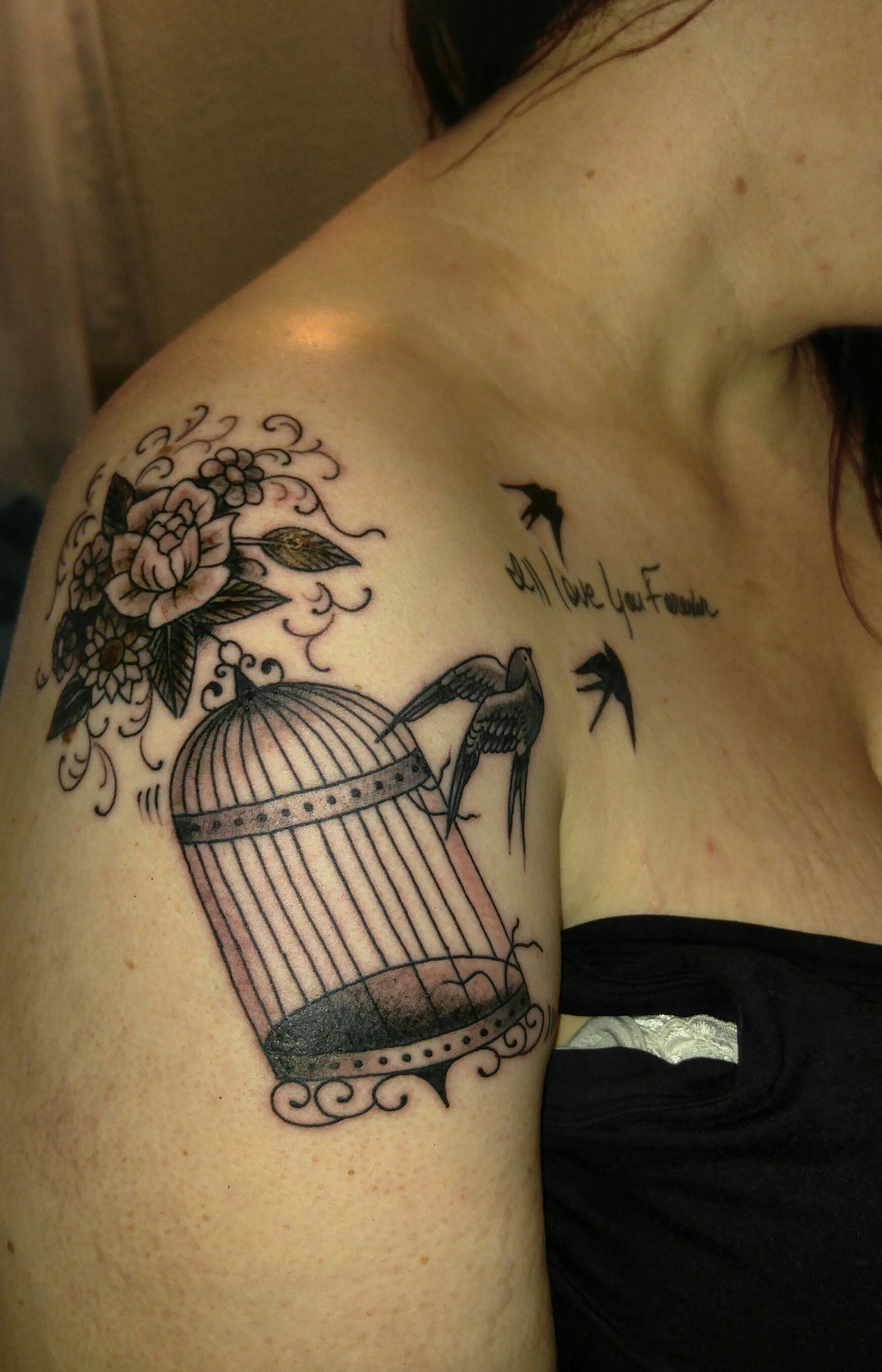 Broken Birdcage Flowers Birds The Ill Love You Forever Was throughout proportions 1742 X 2710