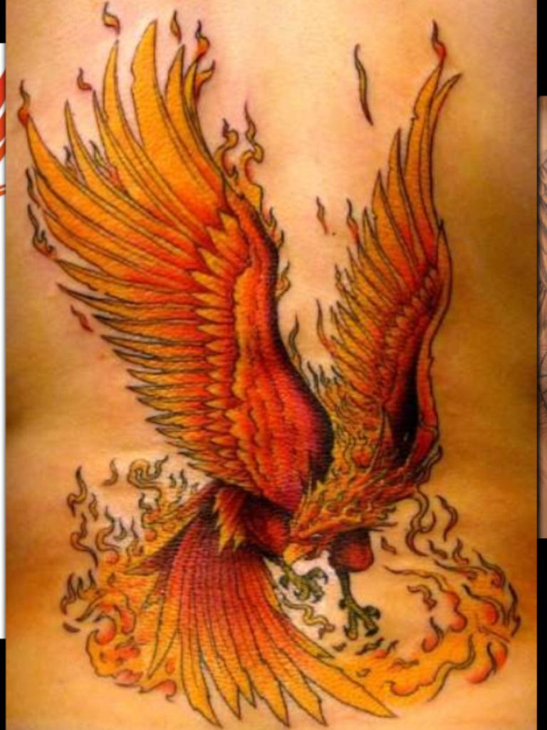 Burning Phoenix Tattoos Phoenix Tattoo Design Phoenix Bird for sizing 768 X 1024
