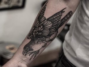 Bw Hawk Bird Tattoo Idea On The Forearm Bird Tattoos Hawk Tattoo inside measurements 1080 X 812