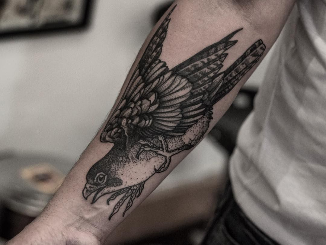 Bw Hawk Bird Tattoo Idea On The Forearm Bird Tattoos Hawk Tattoo inside proportions 1080 X 812