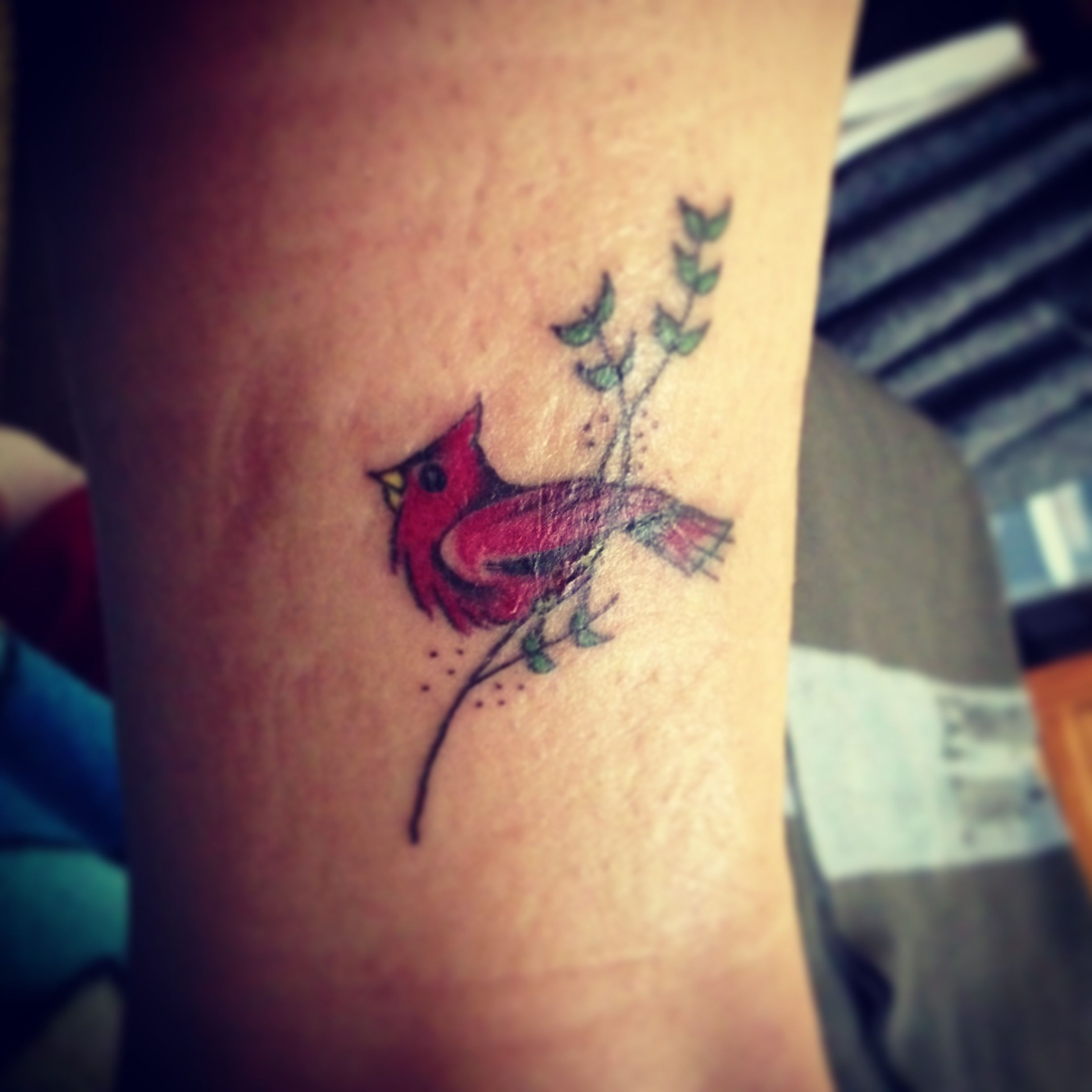 Cardinal Tattoo I Love This Would Love To Get In Memory Of My in proportions 2448 X 2448
