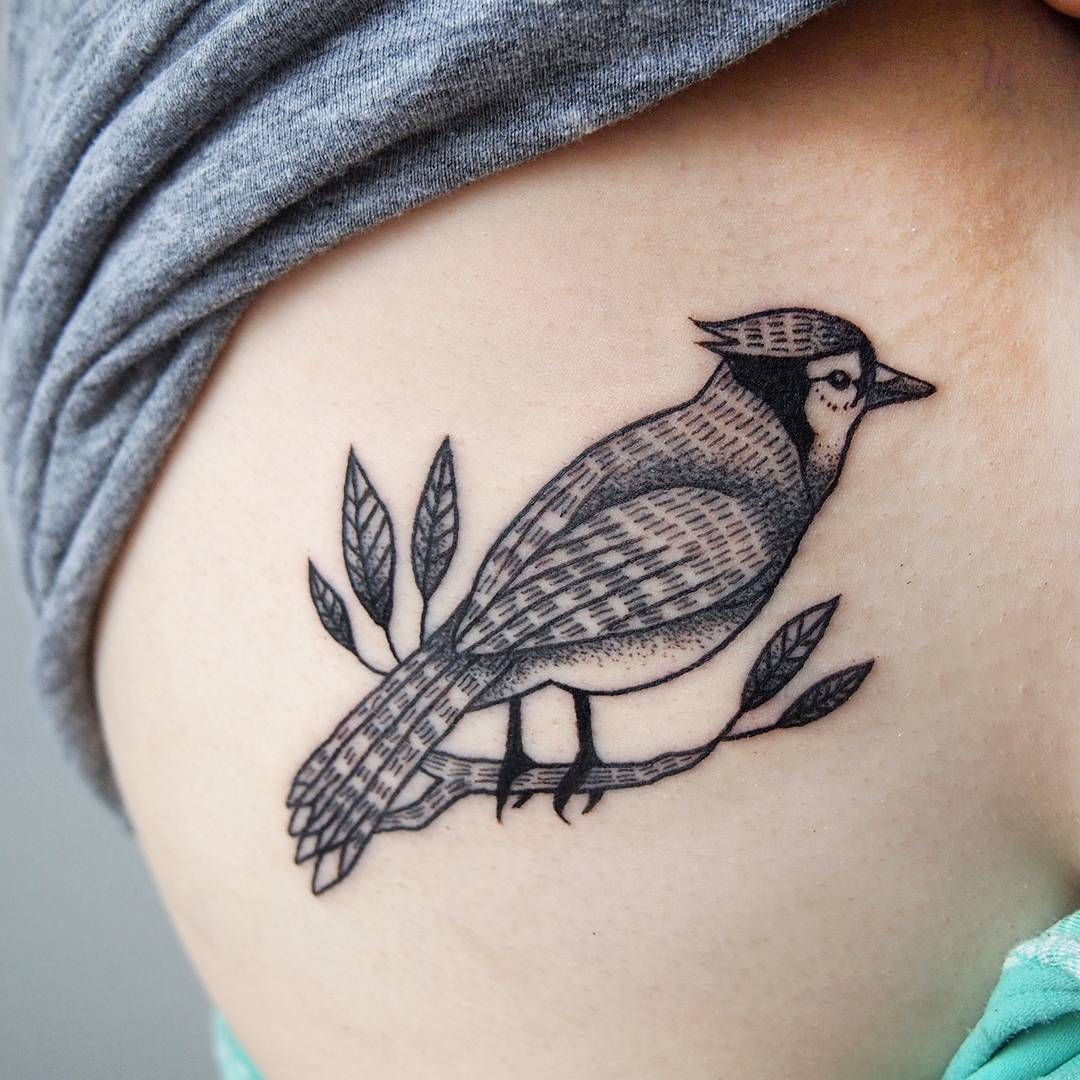 Close Up Of Stephanies Bluejay Tattoos Tattoo inside proportions 1080 X 1080