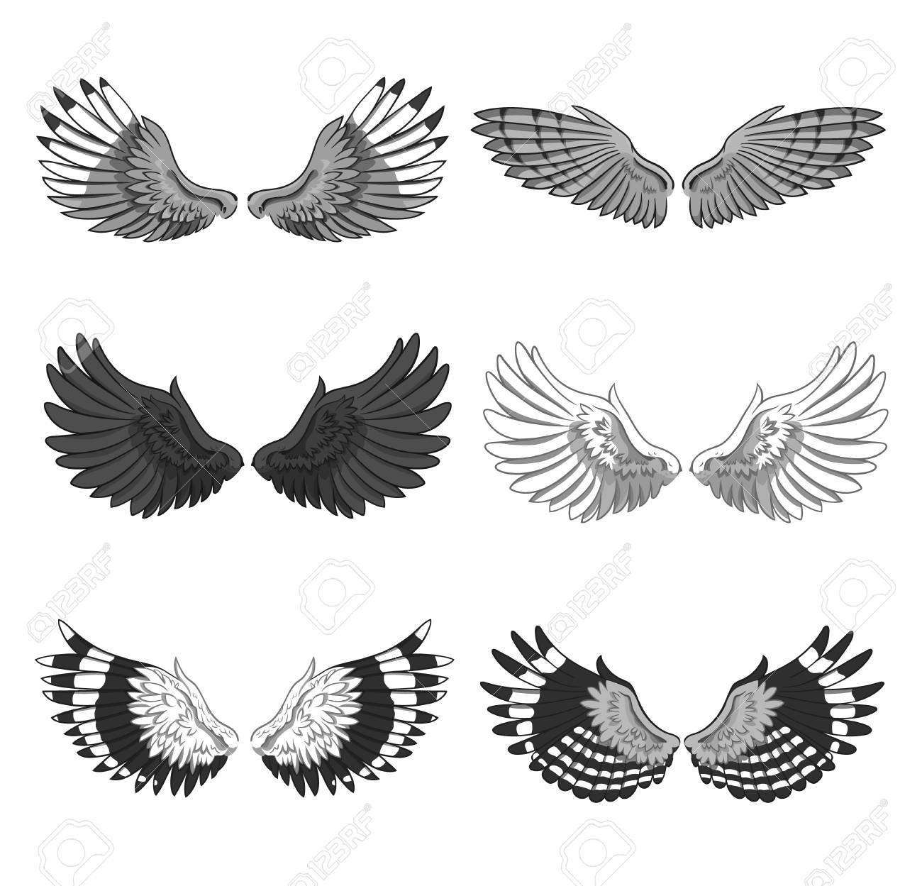 Collection Of 6 Pairs Of Elegant Bird Or Angel Spread Wings Isolated with proportions 1300 X 1249