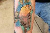Colorful Bird Tattoo Artist Profile Tj Colorful Bird Tattoos intended for size 960 X 960