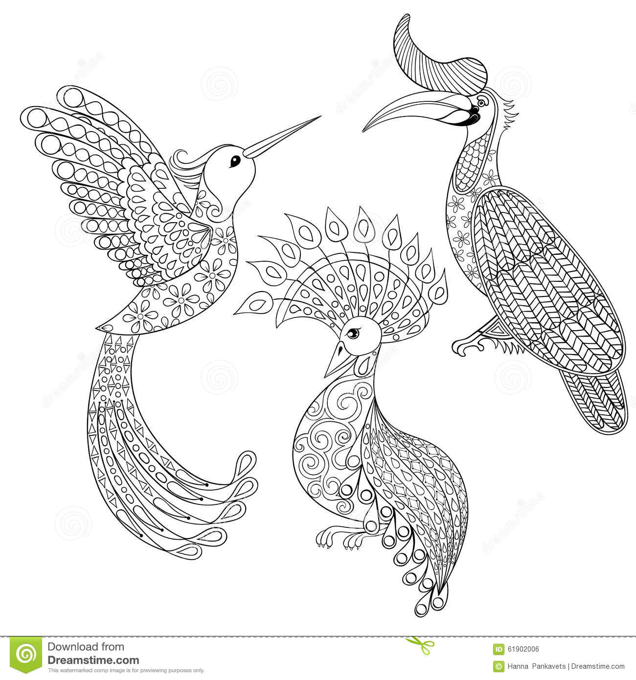 Coloring Page With Bird Rhinoceros Hummingbird And Exotic Bird intended for size 1300 X 1390