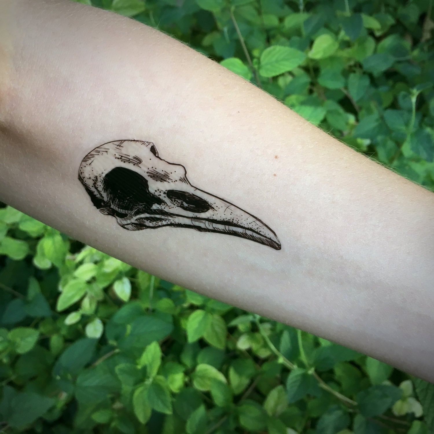 Crow Skull Temporary Tattoo Animal Bones Tattoo Bird Skull Etsy within sizing 1500 X 1500