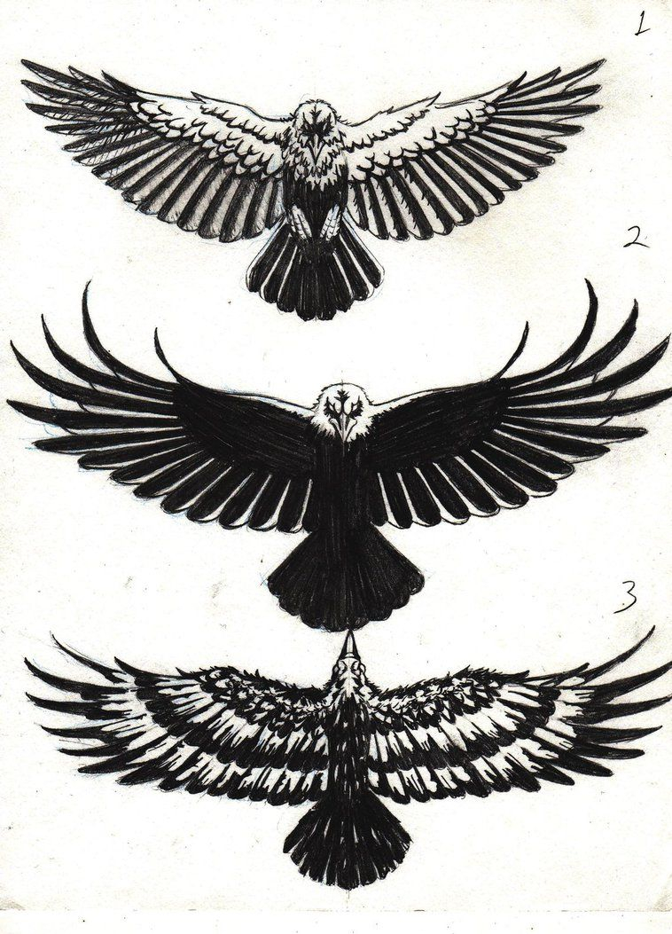 Crow Tattoo Designs Marcahixdeviantart On Deviantart regarding measurements 758 X 1053