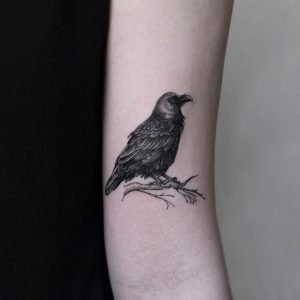 Crow Tattoo Oozytattoo Animal Tattoos Tattoos Black Crow in dimensions 1080 X 1078