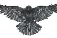 Crow With Wings Spread Sleeve Crow Tattoo Design Raven Tattoo for sizing 2210 X 1157