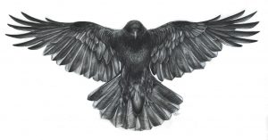 Crow With Wings Spread Sleeve Crow Tattoo Design Raven Tattoo for sizing 2210 X 1157