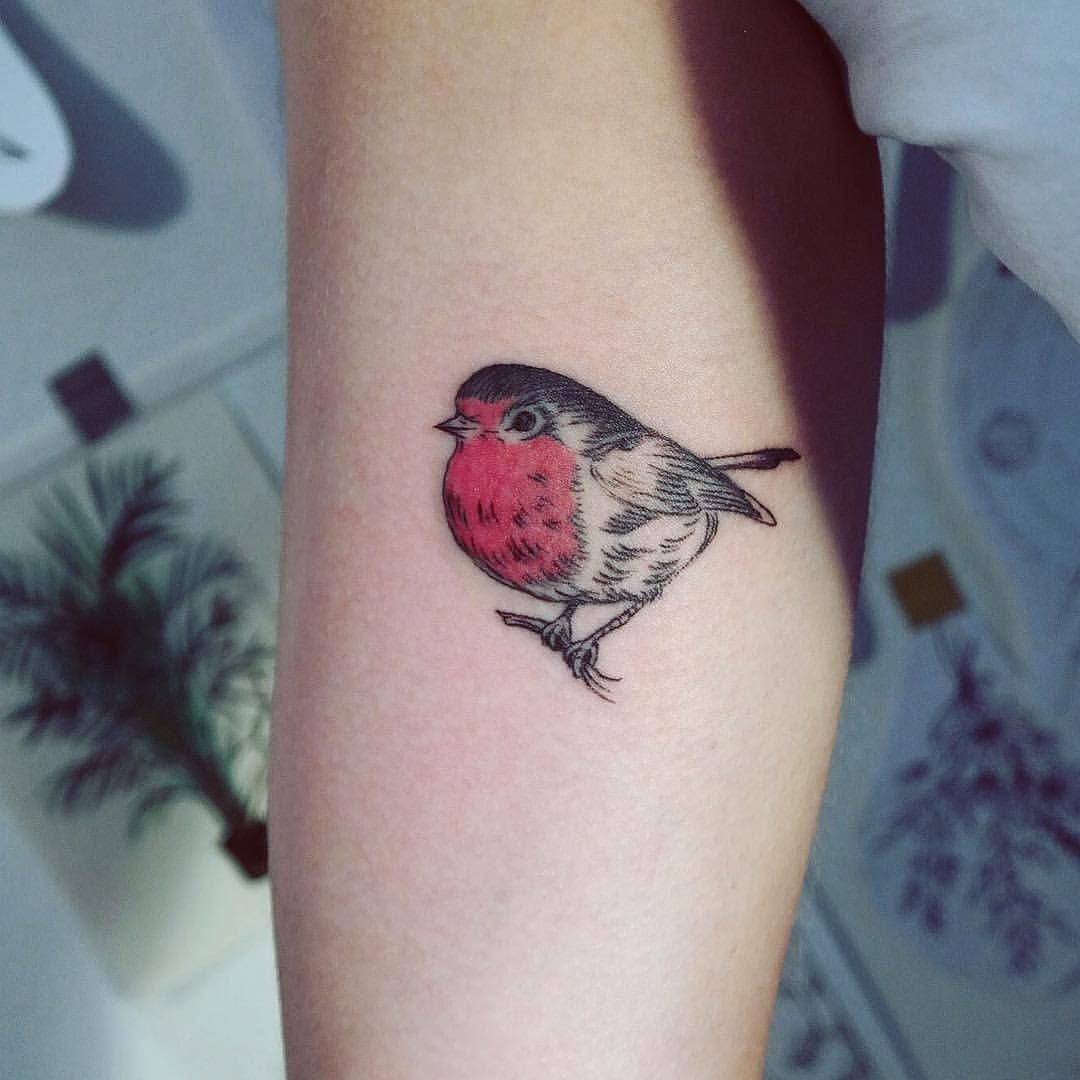 Cutest Robin Tattoo Id Like To Do More Bird Tattoos Please for sizing 1080 X 1080