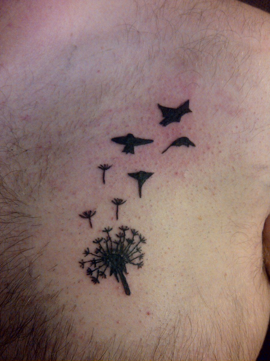Dandelion Flower On Foot And Seeds Turning Into Birds Have Birds with regard to size 900 X 1200