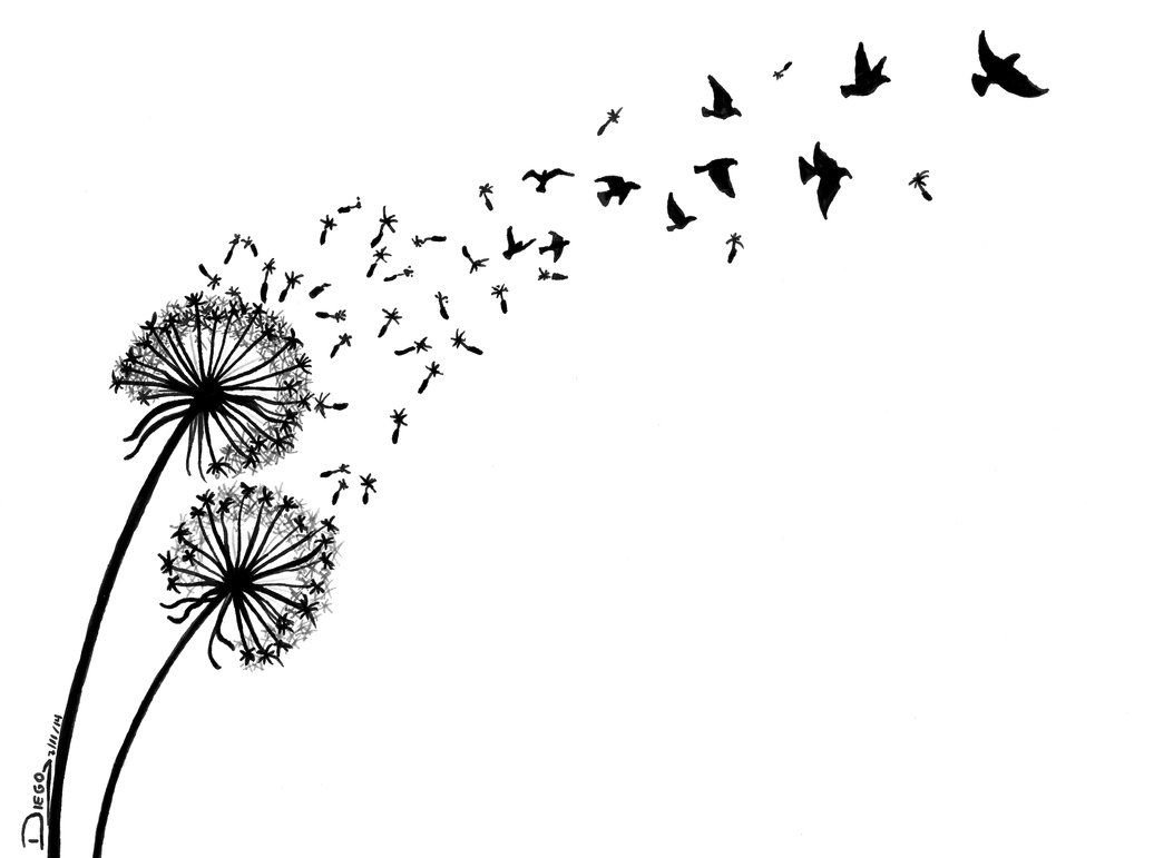 Dandelion Turning Into Birds Drawing Google Search Things I Love intended for size 1036 X 771