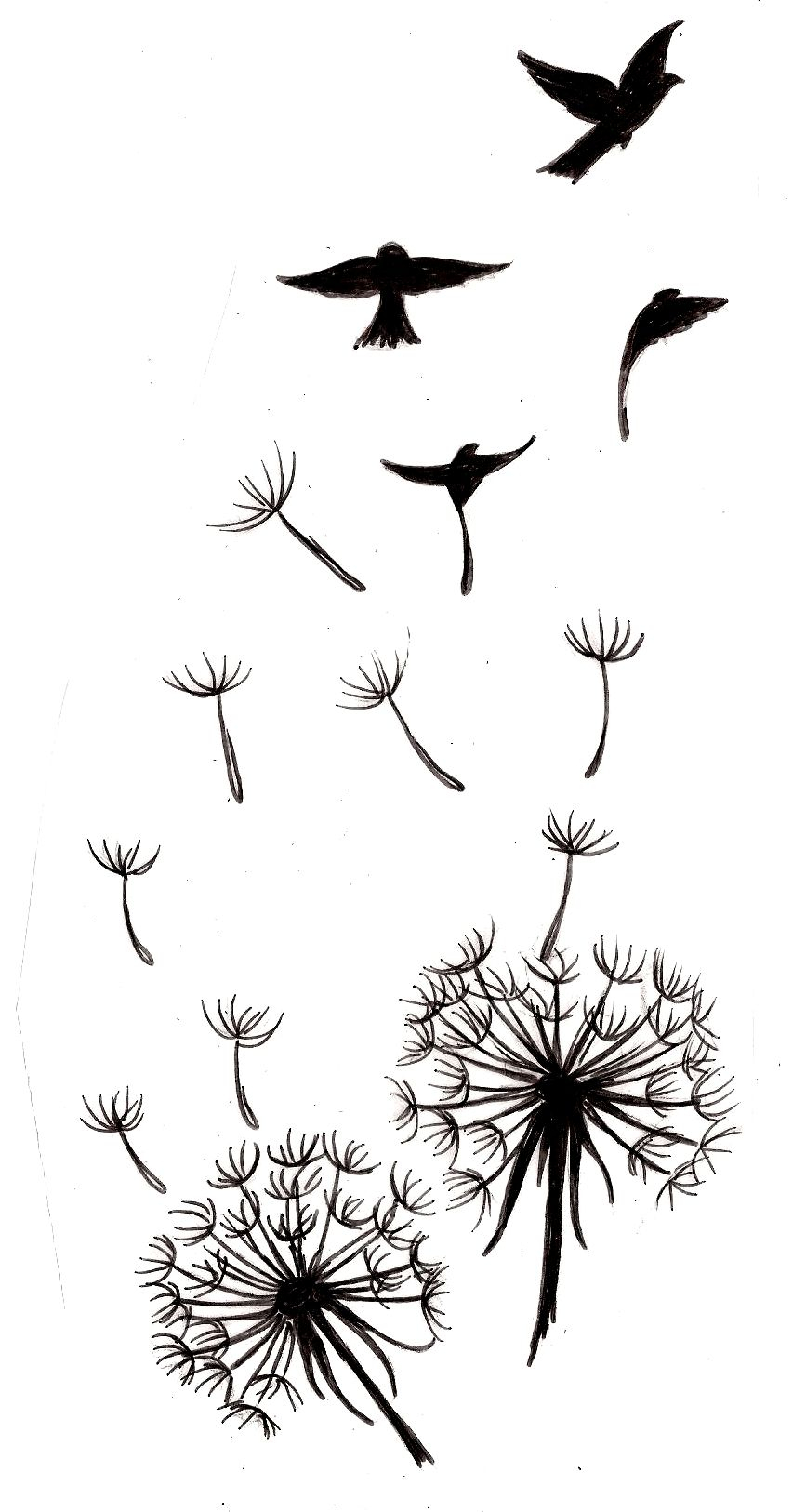Dandelion With Bird Silhouettes Tattoo 3 Metacharis On intended for measurements 867 X 1626