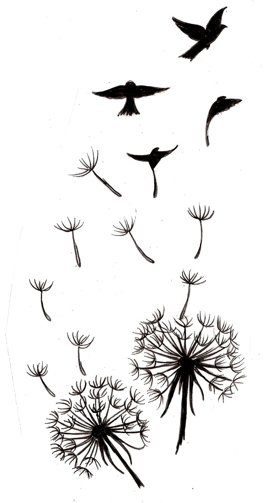 Dandelion With Bird Silhouettes Tattoo 3 Metacharis On throughout size 867 X 1626