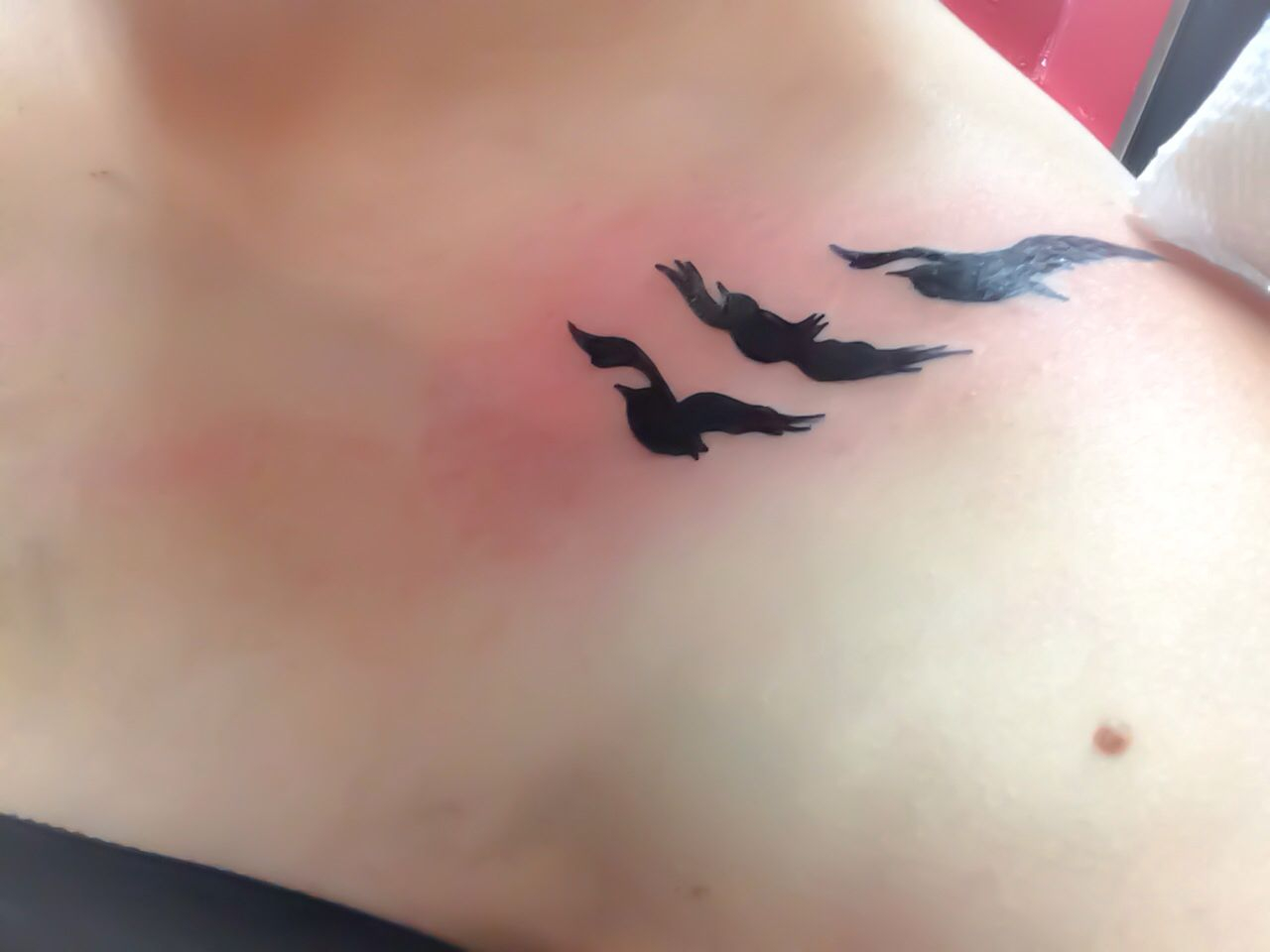 Divergent Tattoo Birds With The Words Real And A Arrow Under pertaining to dimensions 1280 X 960