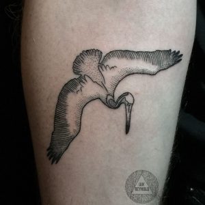 Diving Pelican Tattoo Blackwork Tattoo Dotwork Tattoo Pointillist pertaining to size 1103 X 1103