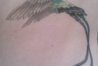 Doctor Bird Jamaica I Need A New Tattoo Hummingbird Tattoo for proportions 1222 X 1630