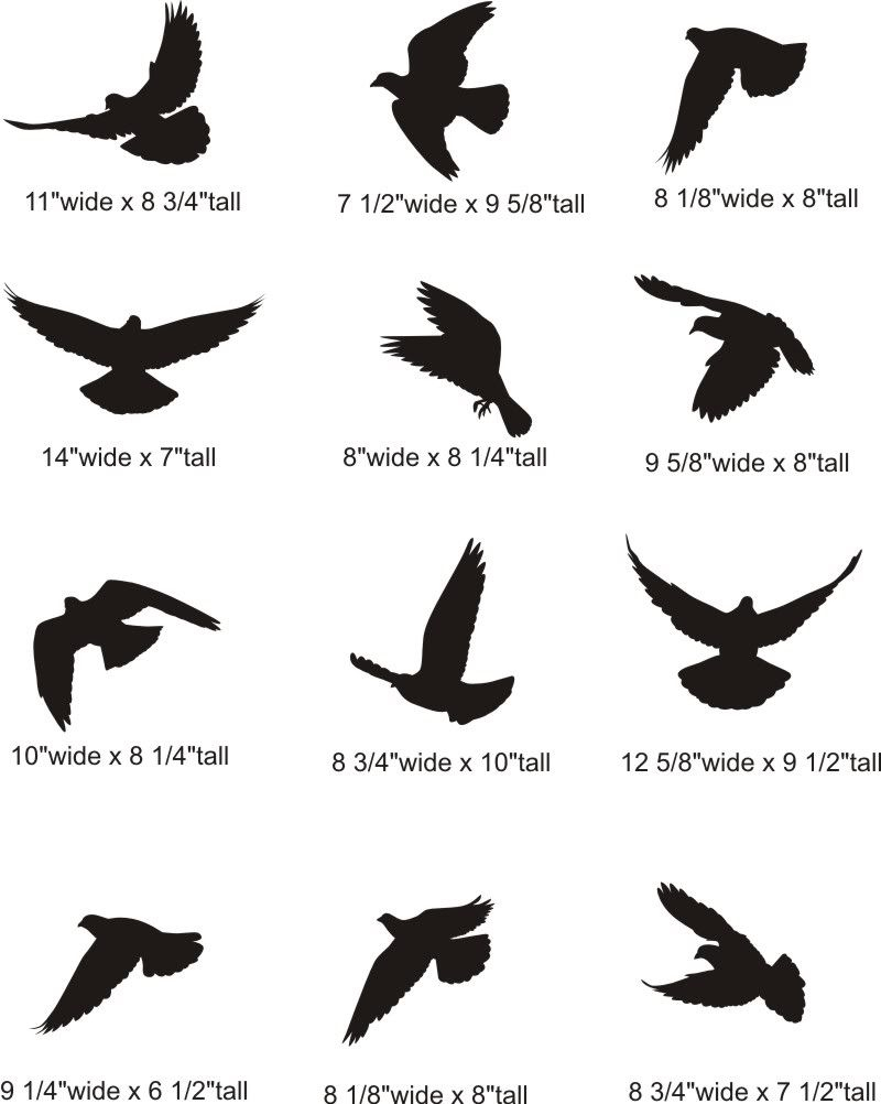 Dove Silhouette Tattoo Flying Dove Silhouette Pictures pertaining to proportions 800 X 1002