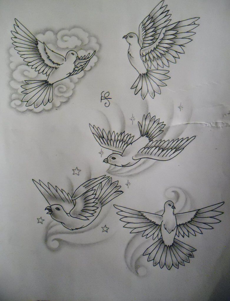 Dove Tattoo Design Tattoosuzette On Deviantart Drawings in dimensions 781 X 1022