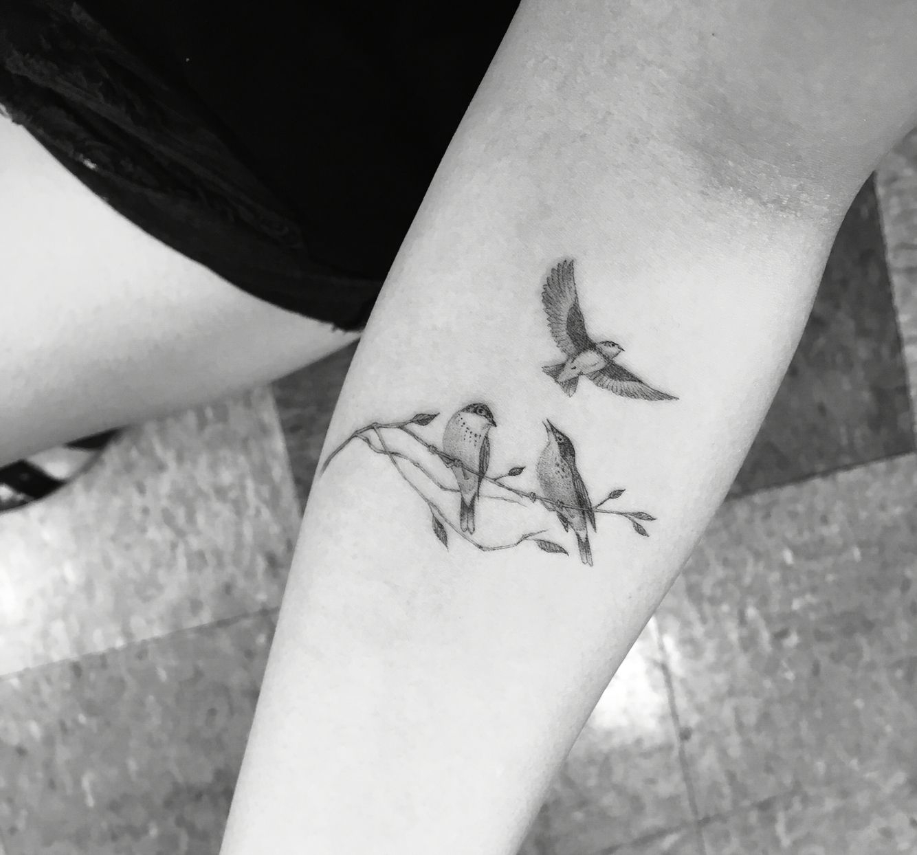Dr Woo Bird Tattoo Tattoo Ideas White Bird Tattoos Feather in dimensions 1334 X 1244