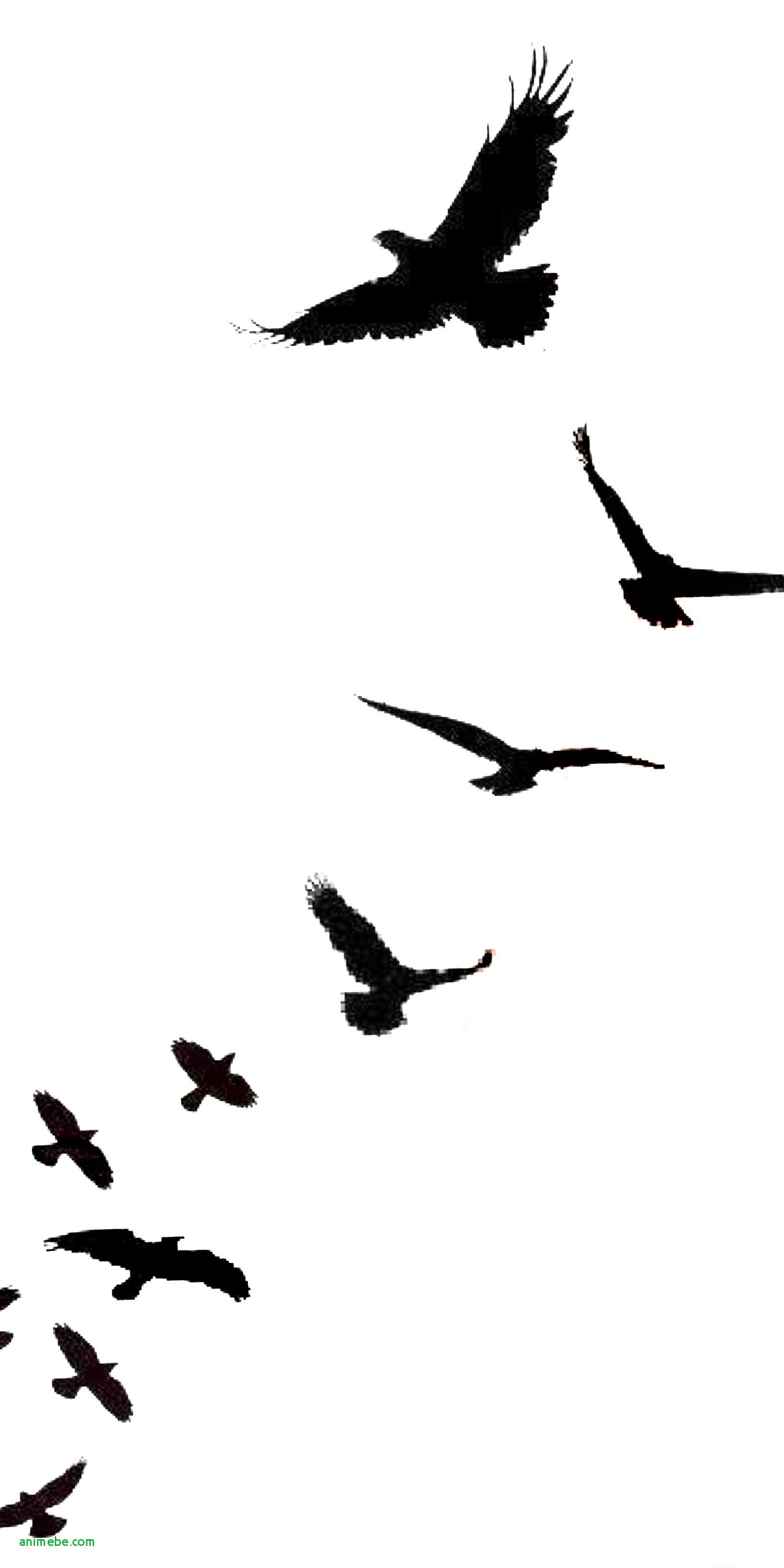 Elegant Small Flock Of Birds Tattoo Animebe pertaining to size 1632 X 3264