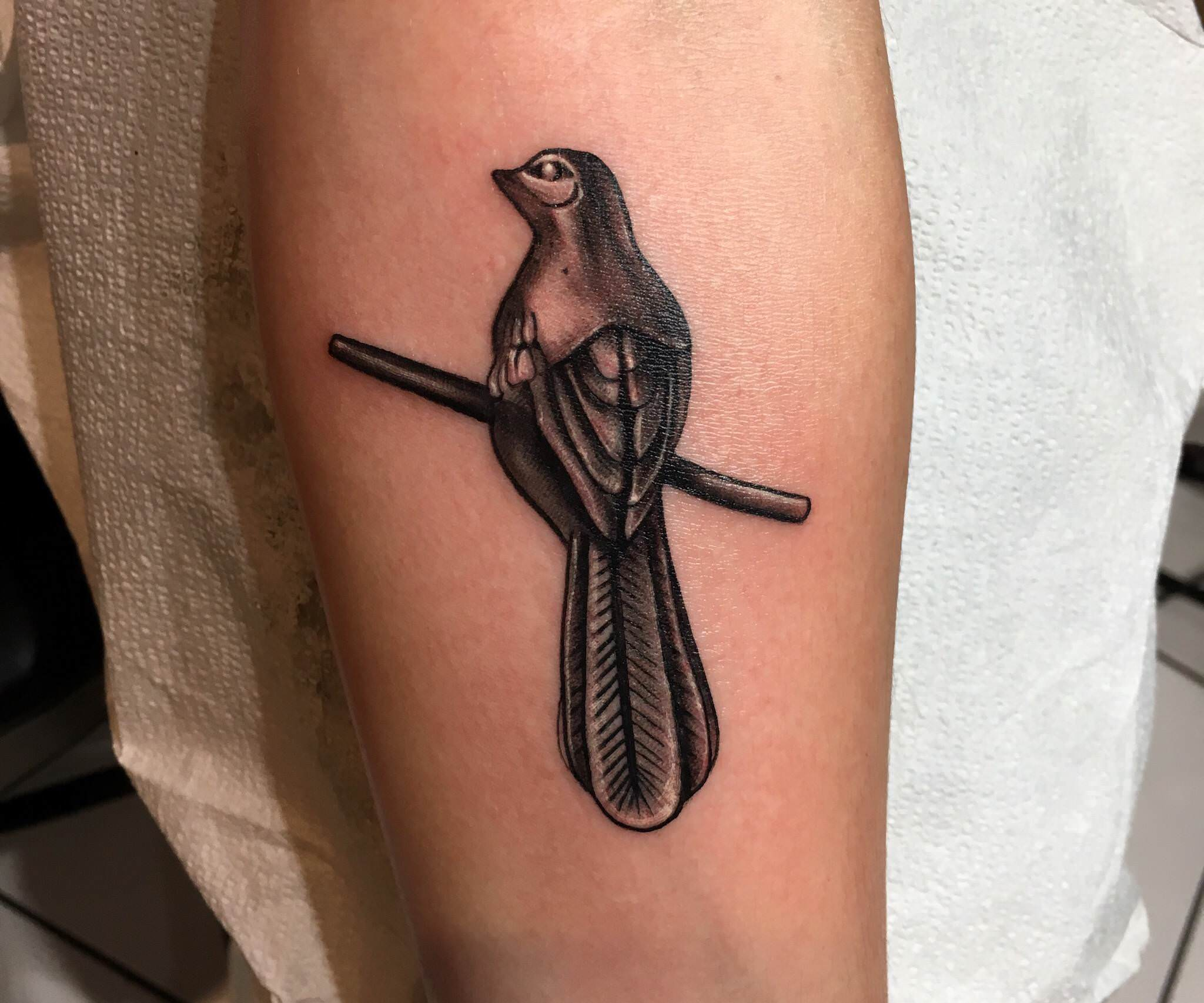 Everything My Mockingbird Tattoo Gameofthrones regarding sizing 2048 X 1705