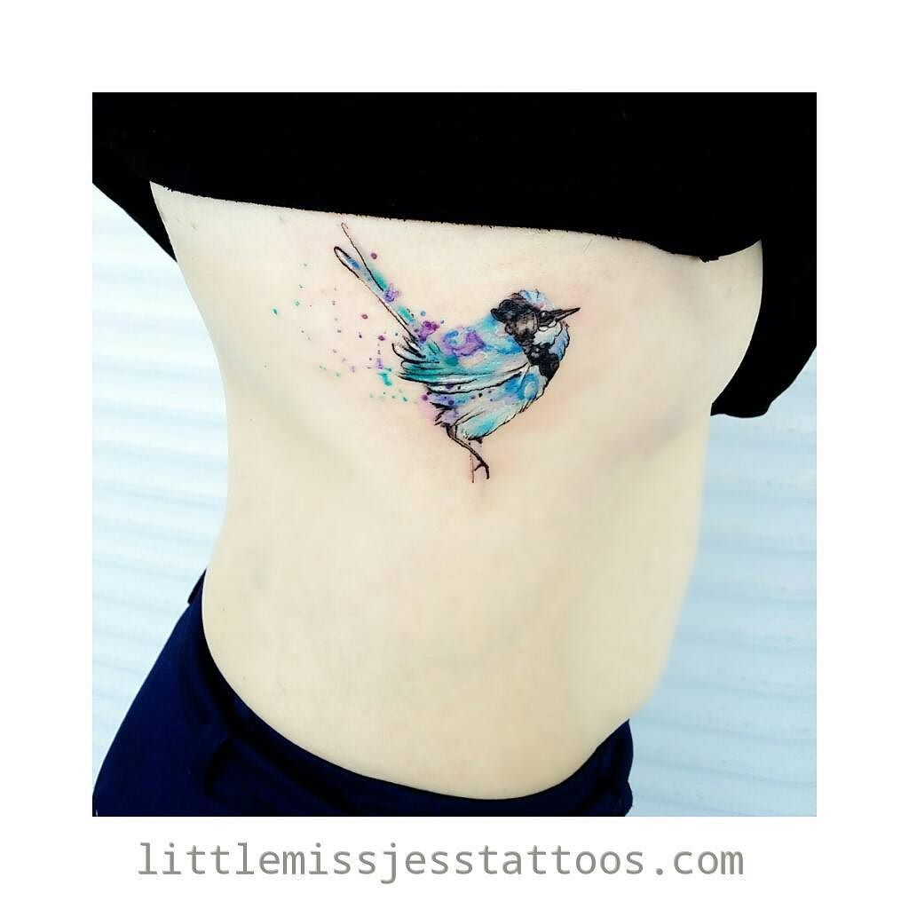 Fairy Wrens Tattoos Watercolor Tattoo Tattoos Animal Tattoos in measurements 1024 X 1024