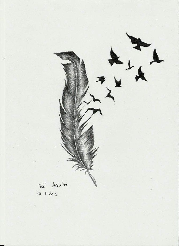 Feather Bird Tattoo Drawings Feather Talucifer On Deviantart in proportions 763 X 1048
