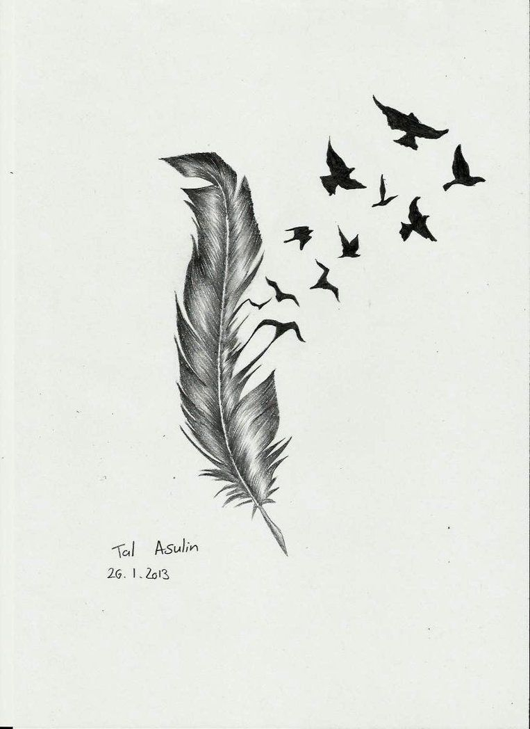 Feather Bird Tattoo Drawings Feather Talucifer On Deviantart in size 763 X 1048