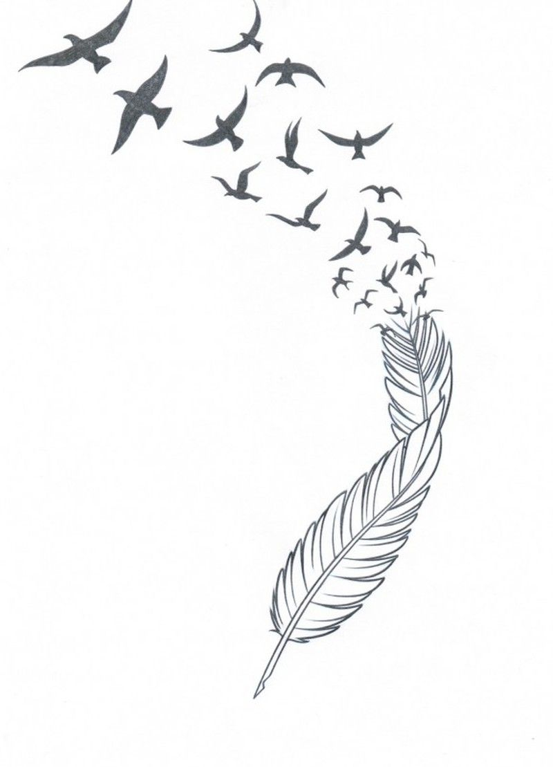 Feather N Birds Tattoo Stencil Stencil Feather Tattoos Feather for size 800 X 1109