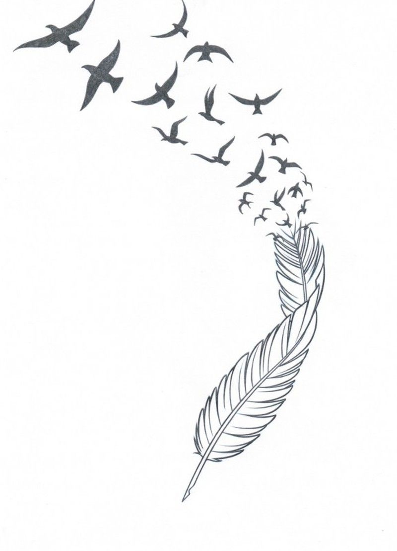 Feather N Birds Tattoo Stencil Stencil Feather Tattoos Feather pertaining to measurements 800 X 1109