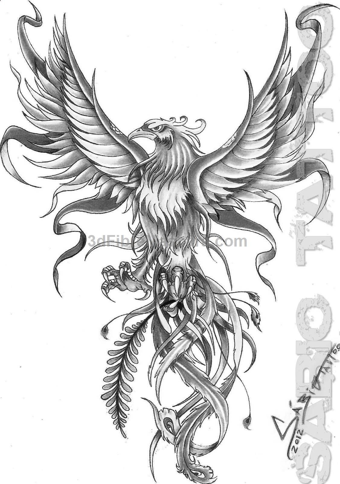 Fenix Ms Phoenix Birds Phoenix Tattoo Design Phoenix Bird for size 1126 X 1600