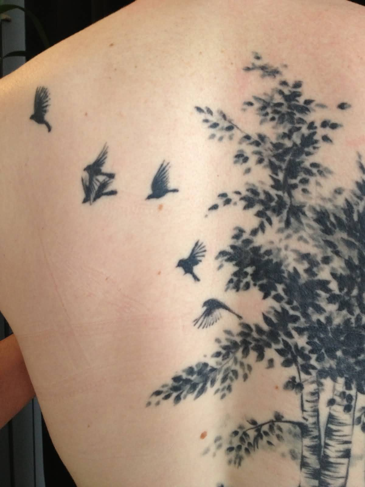 Flying Birds And Birch Tree Tattoo On Back Body throughout sizing 1200 X 1600