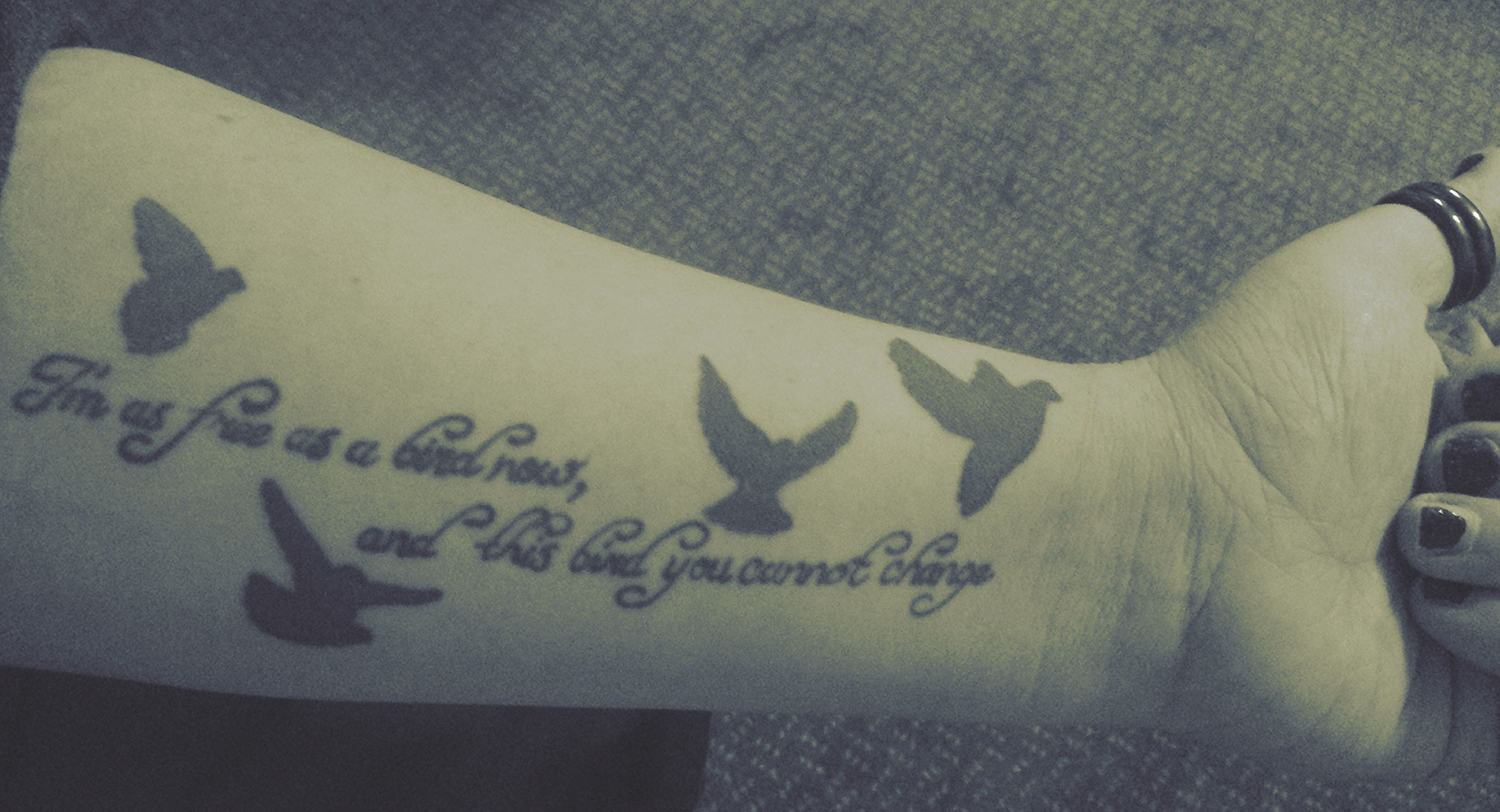 Free Bird Tattoo Lynyrdskynyrd My Wishlistt Tattoos Tattoo with regard to size 3239 X 1755