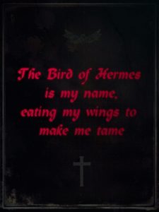 Hellsing The Bird Of Hermes Is My Name Eating My Wings To Make Me throughout proportions 960 X 1280