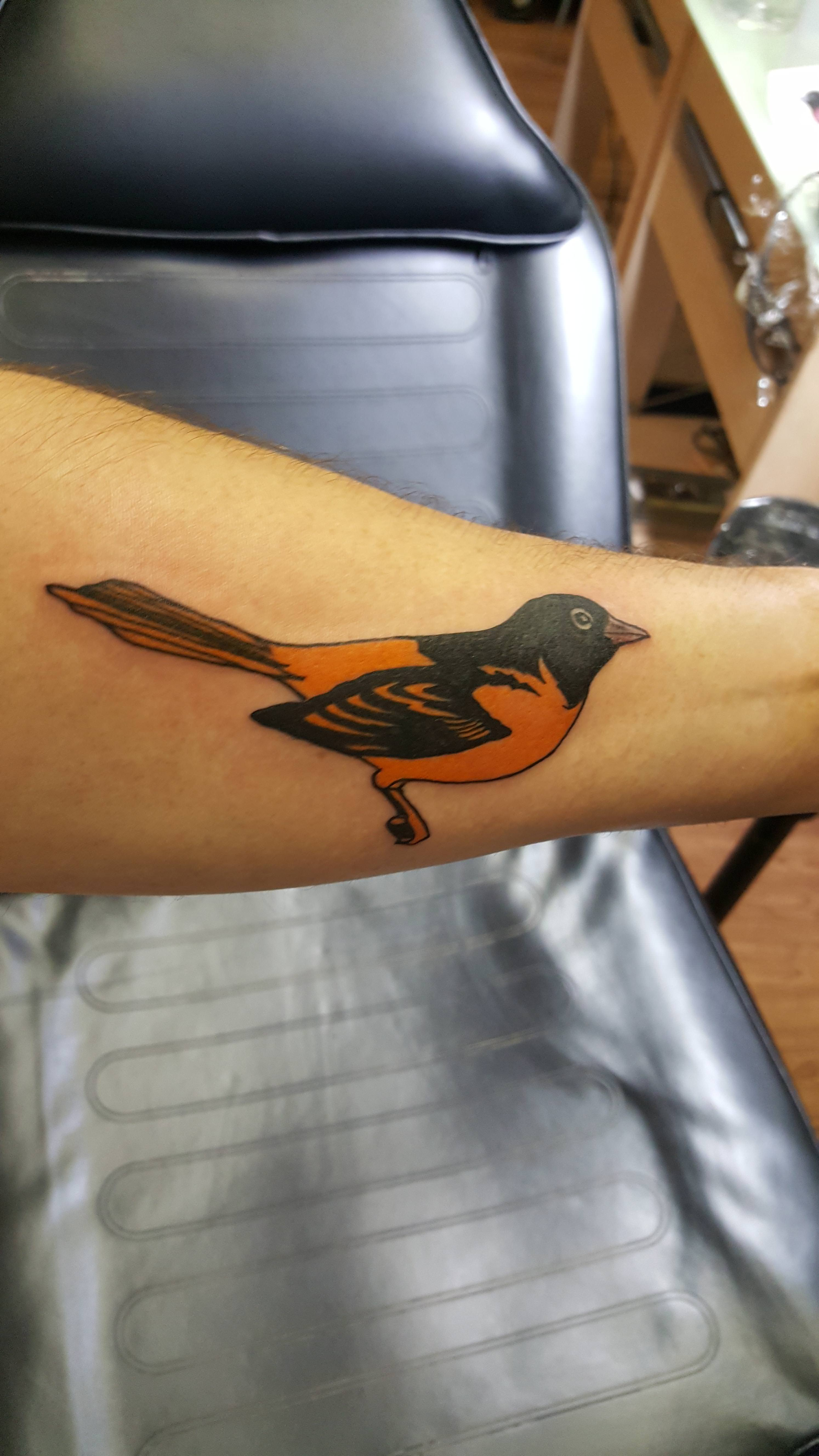 I Just Got This 2009 Oriole Tattooed On Me The Orioles Won Only 64 with dimensions 2988 X 5312