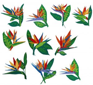 Images For Bird Of Paradise Flower Tattoo Flowers Birds Of in size 1327 X 1223