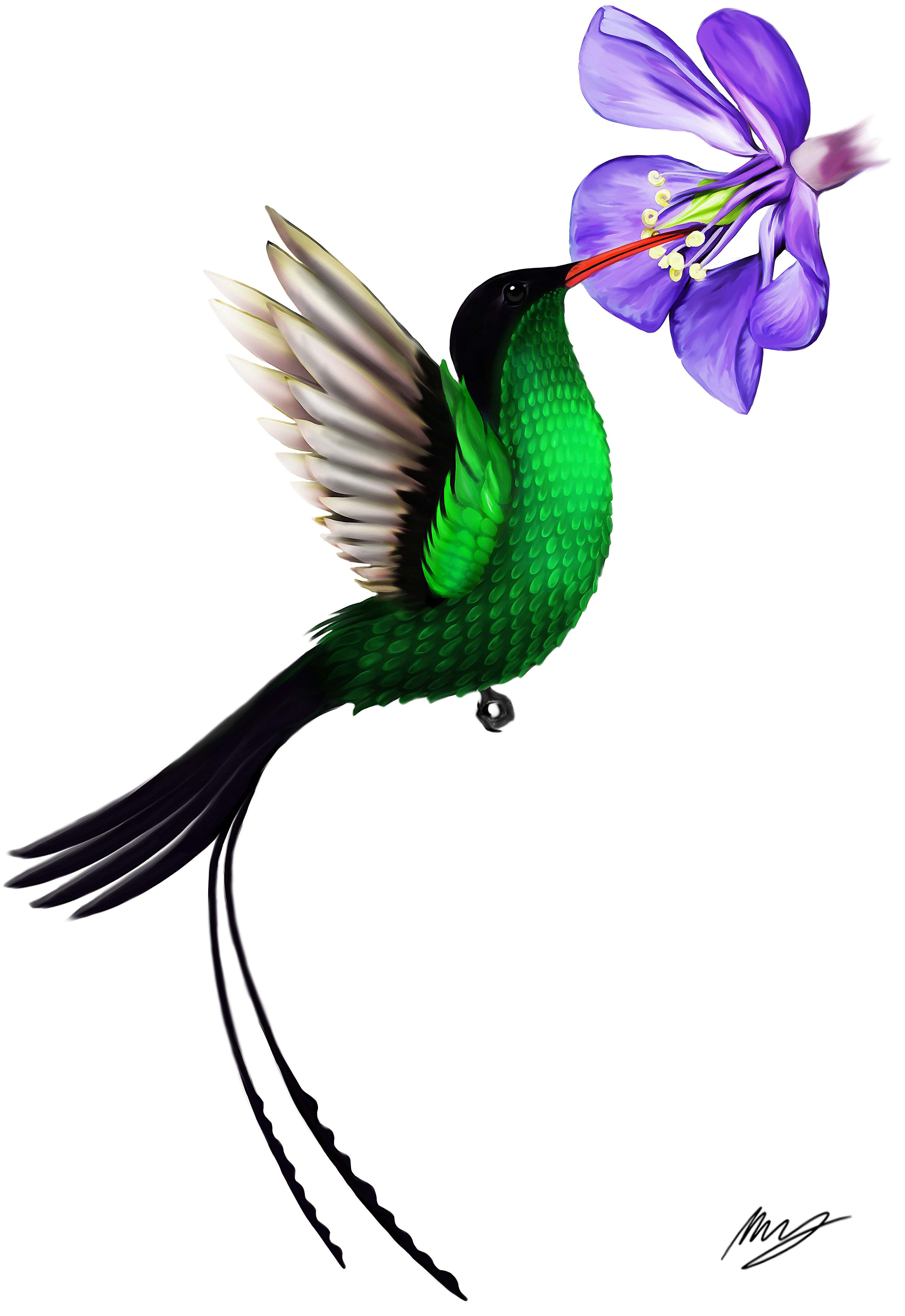 Jamaican National Birdflower Tattoo Commission Body Art within measurements 3421 X 4975