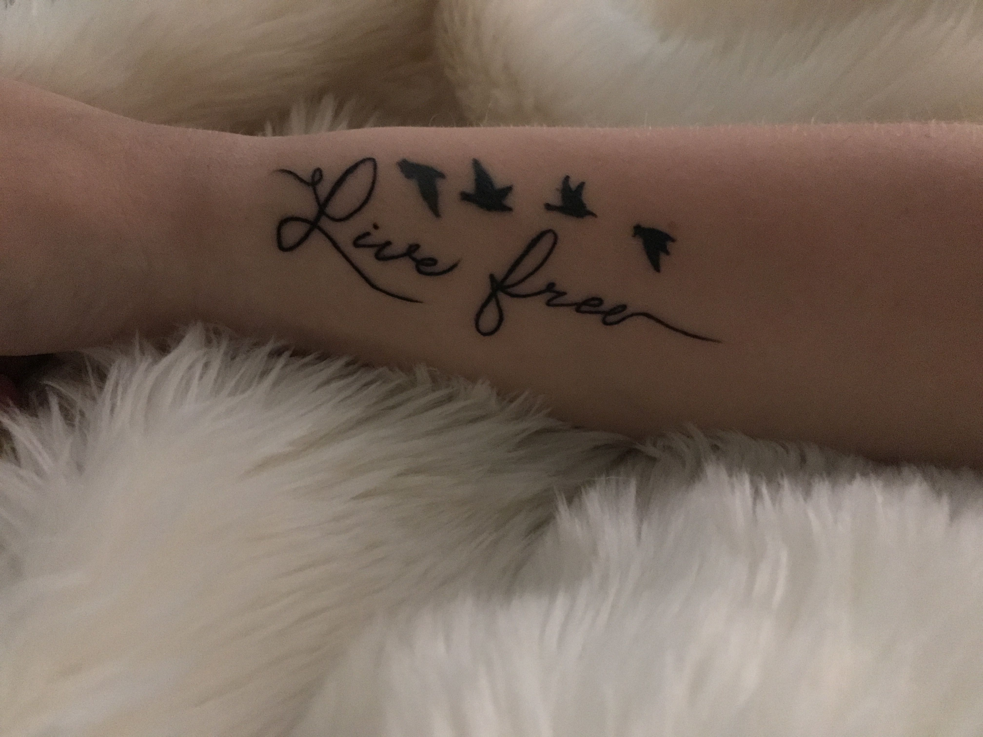 Live Free Like The Birds Personalized Tattoo I Got Love It So regarding sizing 4032 X 3024