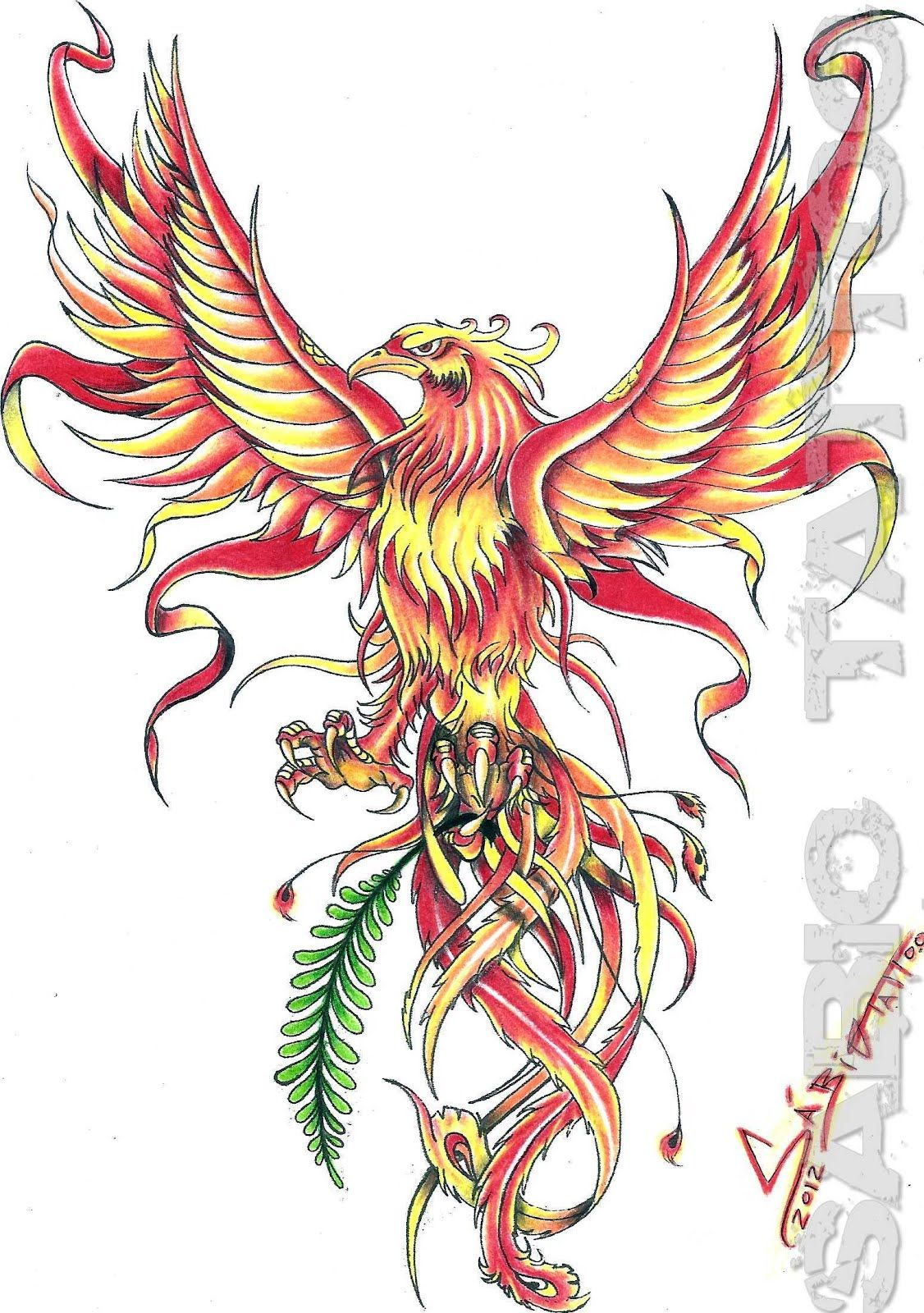 Looks Like An Eagle But Pretty Color And Design Tattoo Ideas within size 1126 X 1600