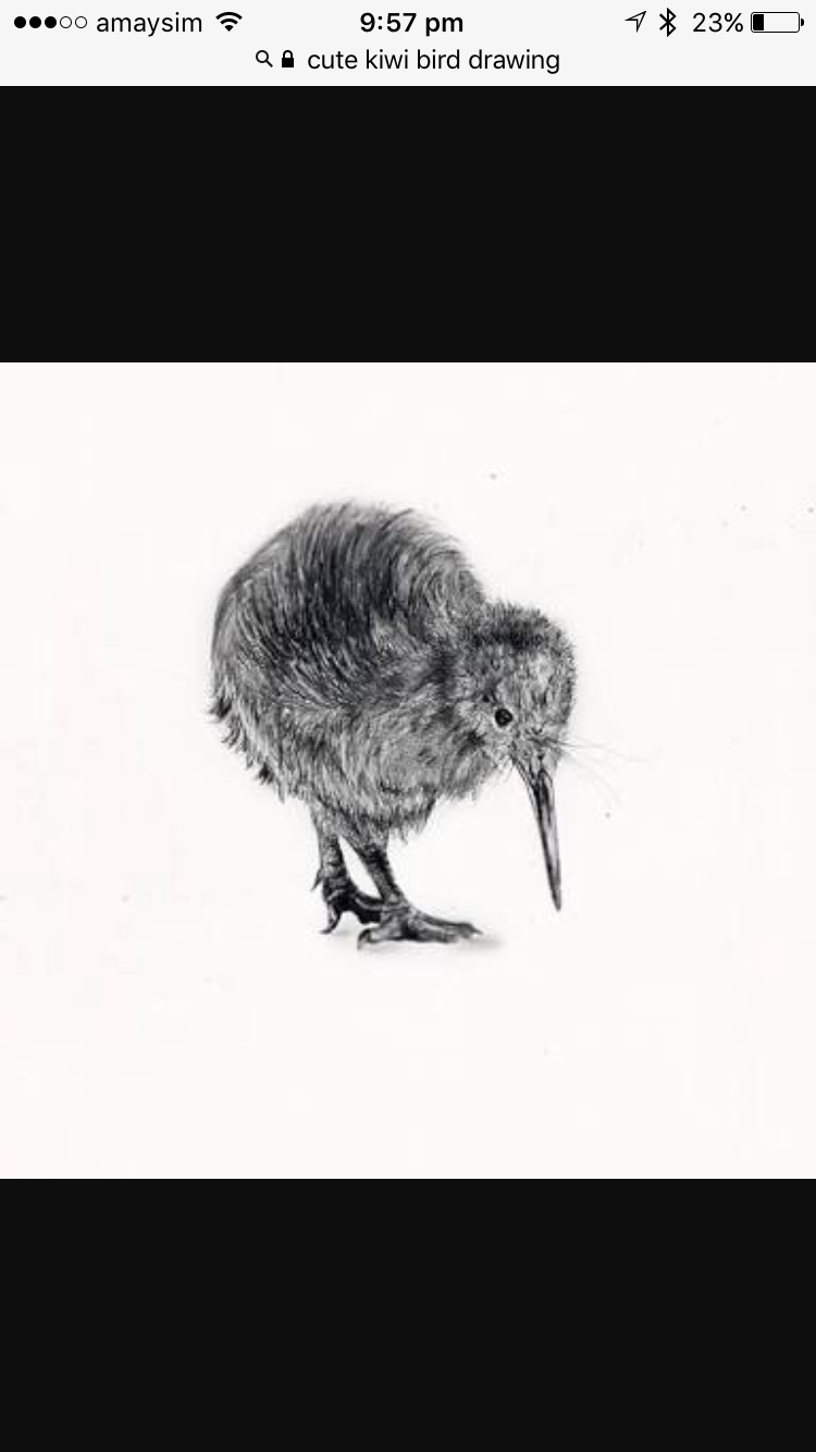 Love This Cute Little Kiwi For A Tattoo Kiwi Carnation Tattoo within proportions 750 X 1334