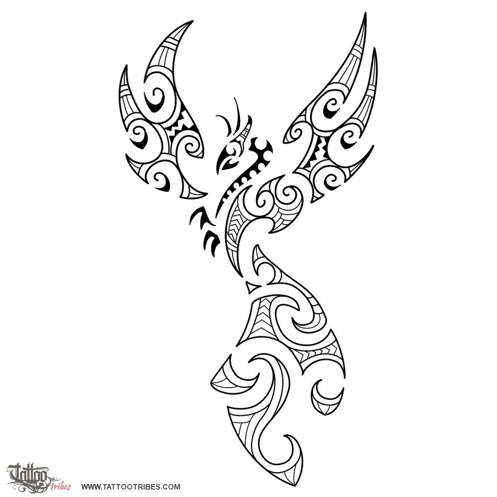 Maori Style Phoenix The Phoenix Is A Mythical Bird That According in measurements 1000 X 1000