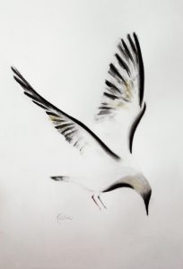 Minimalist And Elegant Drawings Of Cats And Birds Artist Kellas in sizing 1200 X 1762