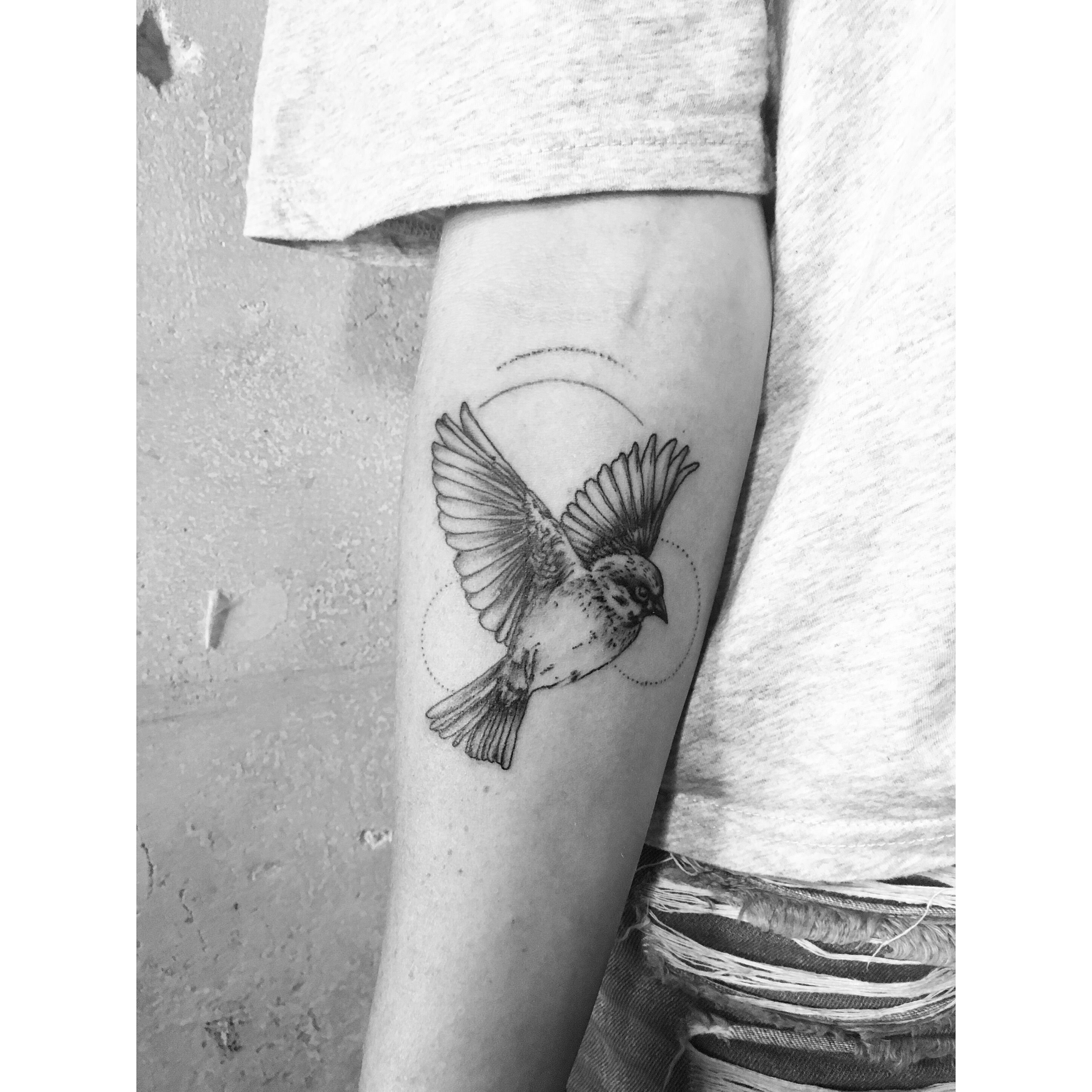 Mockingbird Tattoo Mockingbird Tattoo Lineartattoos Stylistic pertaining to dimensions 2896 X 2896