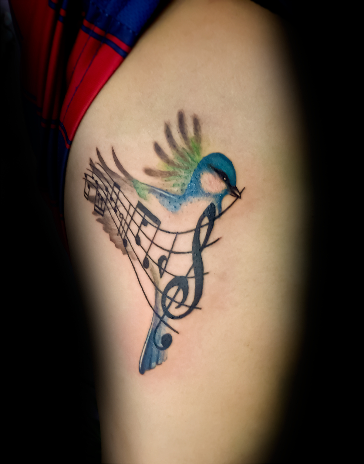 Music Notes And Bird Tattoo Tatoos Tattoos Songbird Tattoo for dimensions 1200 X 1527